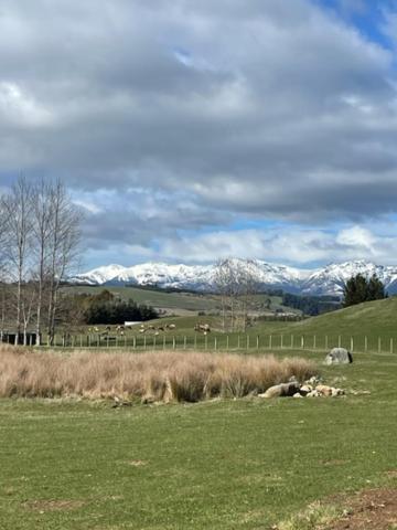 Boutique Tiny House - Te Anau Country Accommodation Exteriér fotografie