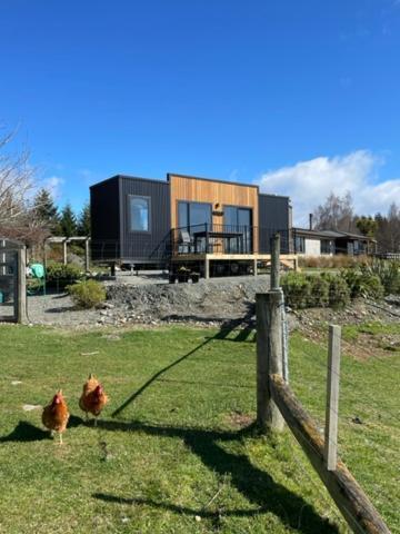 Boutique Tiny House - Te Anau Country Accommodation Exteriér fotografie